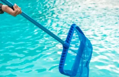 Recogehojas para el mantenimiento de la piscina
